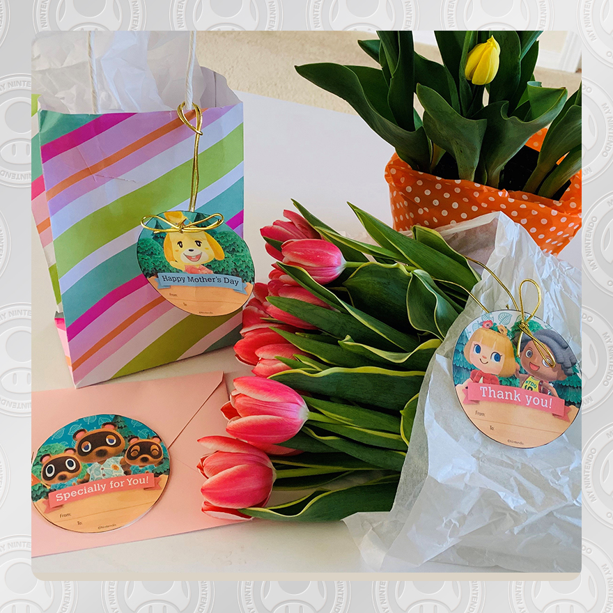 Wallpaper: Big Brain Academy™: Brain vs. Brain