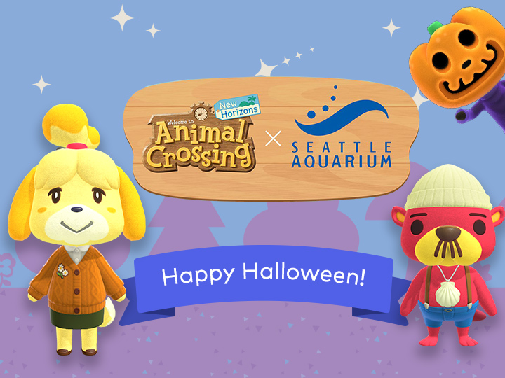 Isabelle on X: [Announcement] We're teaming up with @SeattleAquarium to  bring Animal Crossing: New Horizons to the Seattle Aquarium! Starting  October 7th, guests can enjoy aquatic photo ops featuring their favorite  characters.