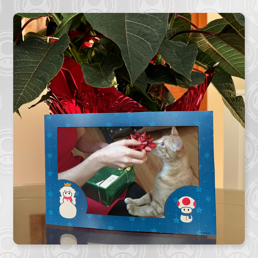 Festive My Nintendo picture frames.