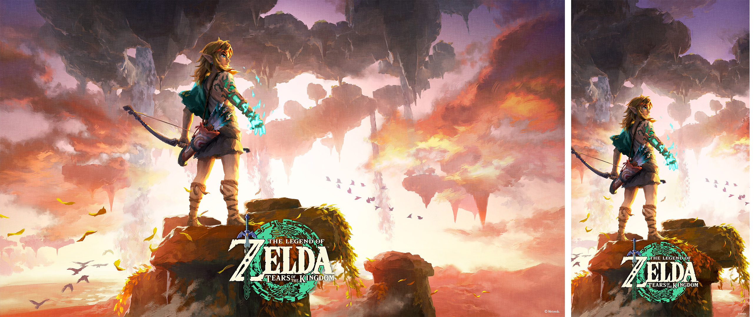 NEW Nintendo Legend of Zelda Series: Tears of the Kingdom - Link